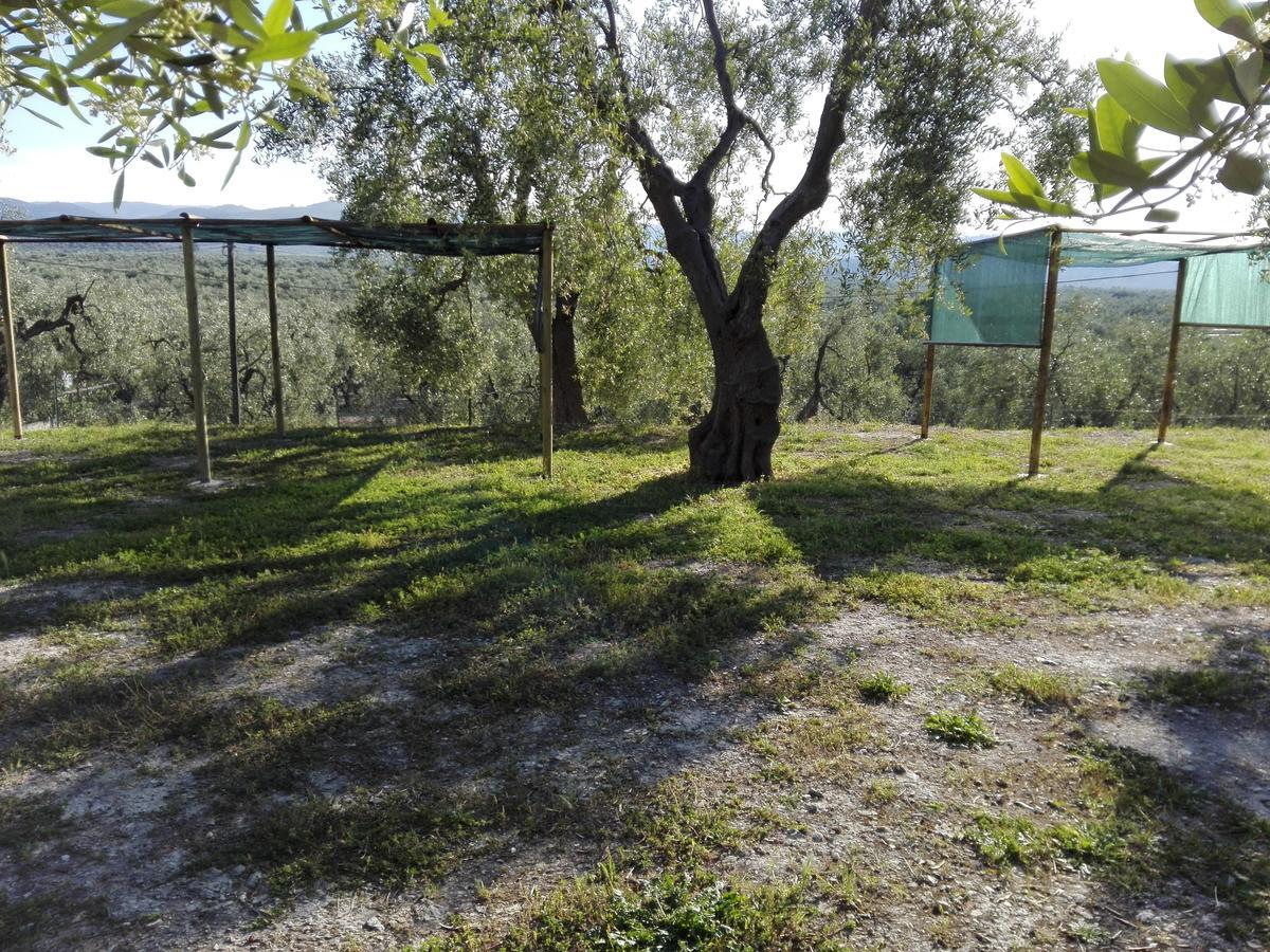 Apartment Valle Degli Ulivi *