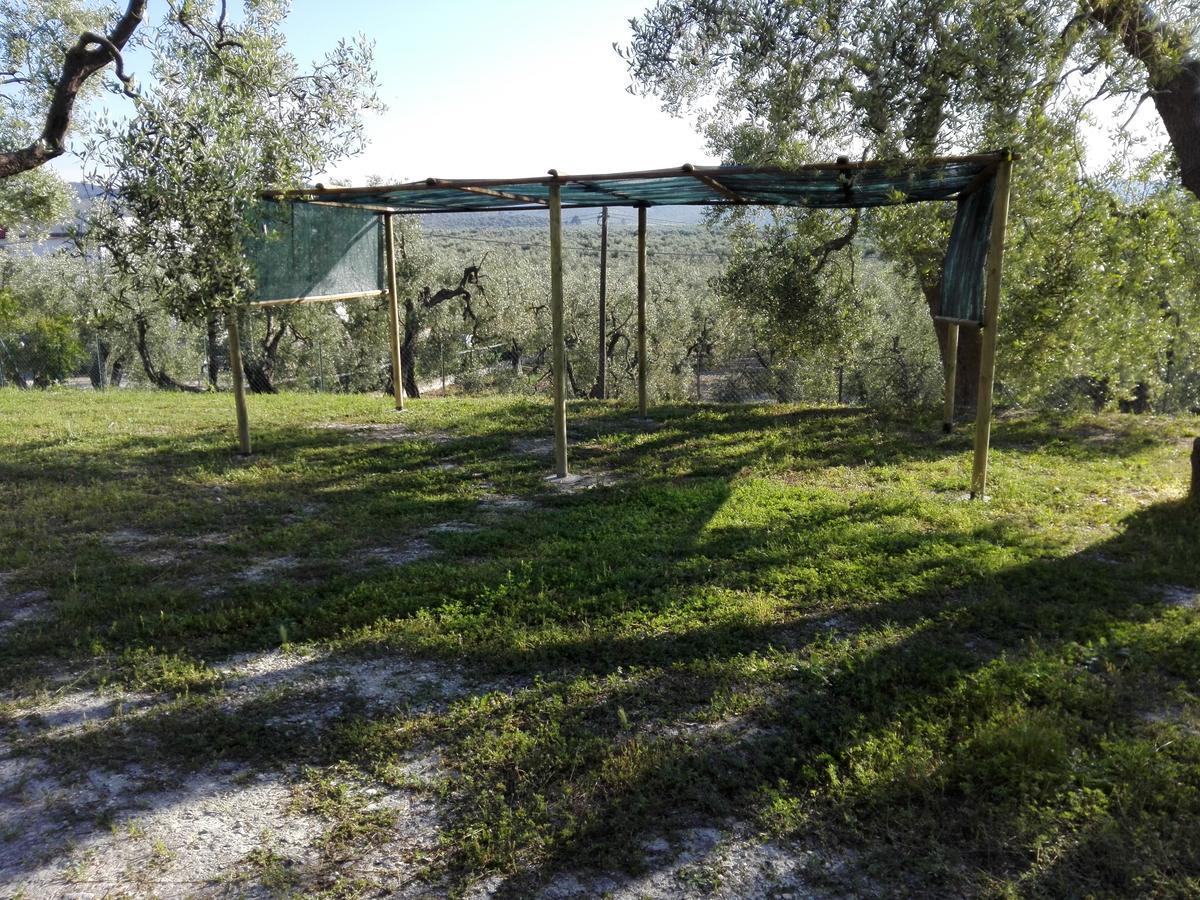 Valle Degli Ulivi Apartment Vieste
