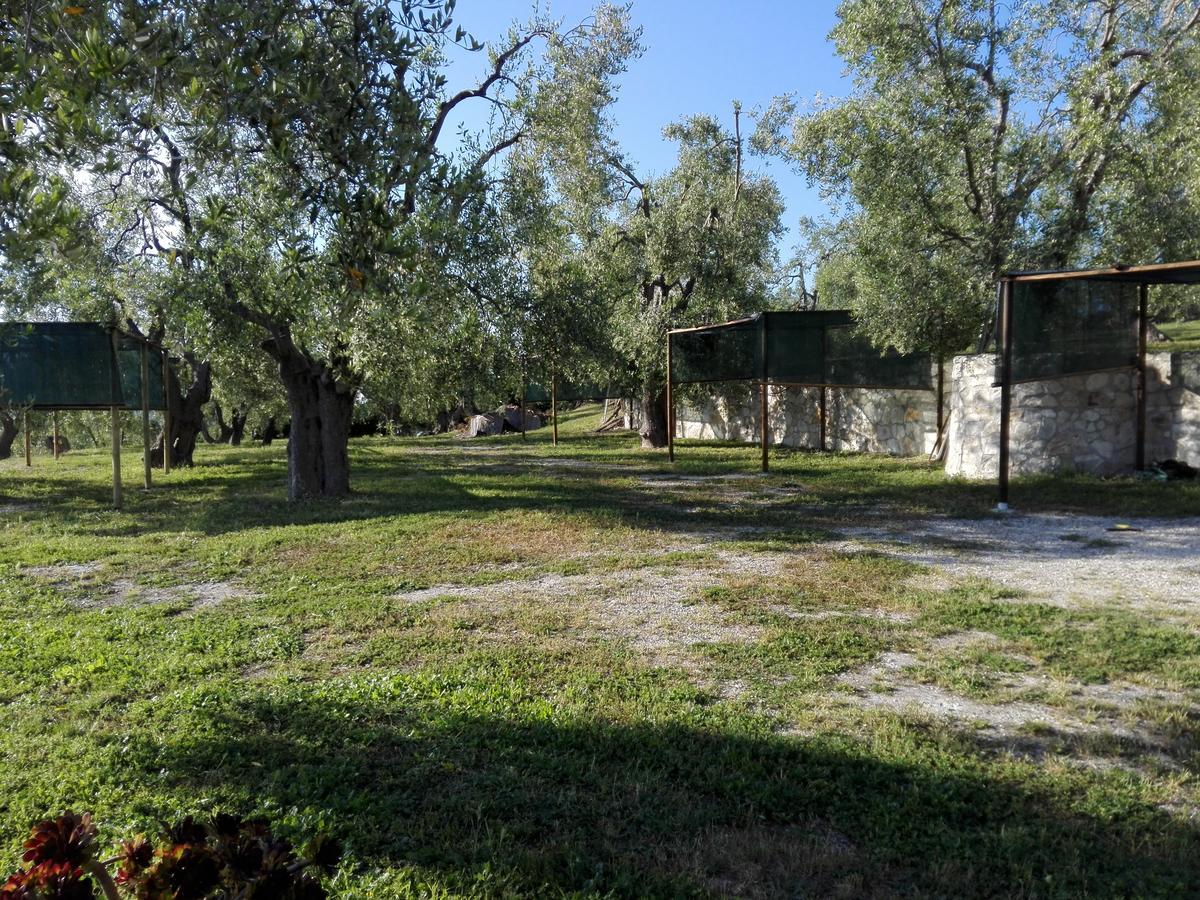 Apartment Valle Degli Ulivi
