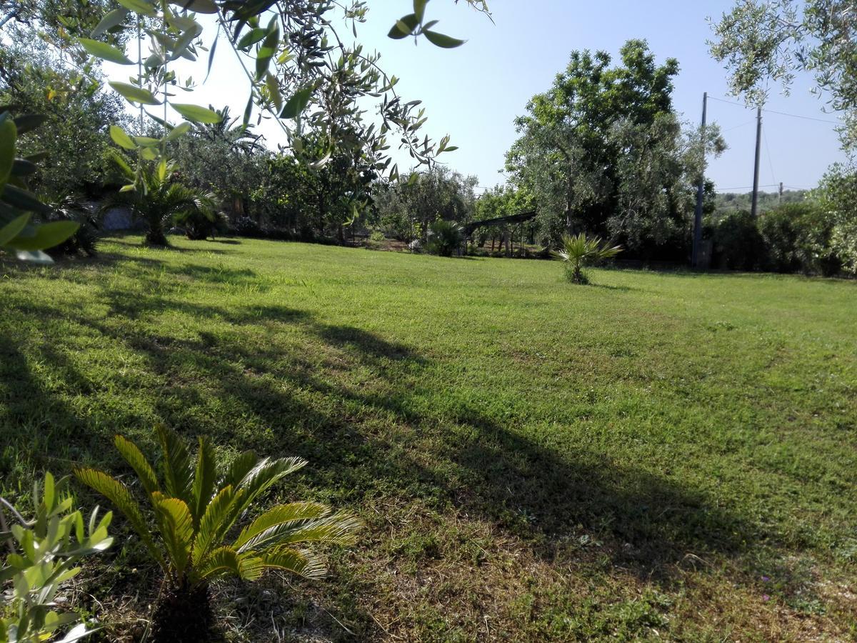 Valle Degli Ulivi Apartment *